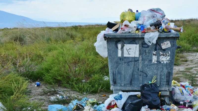 W Gorzowie udało się rozstrzygnąć sprawę z cenami za wywóz śmieci. Czego spodziewają się mieszkańcy?