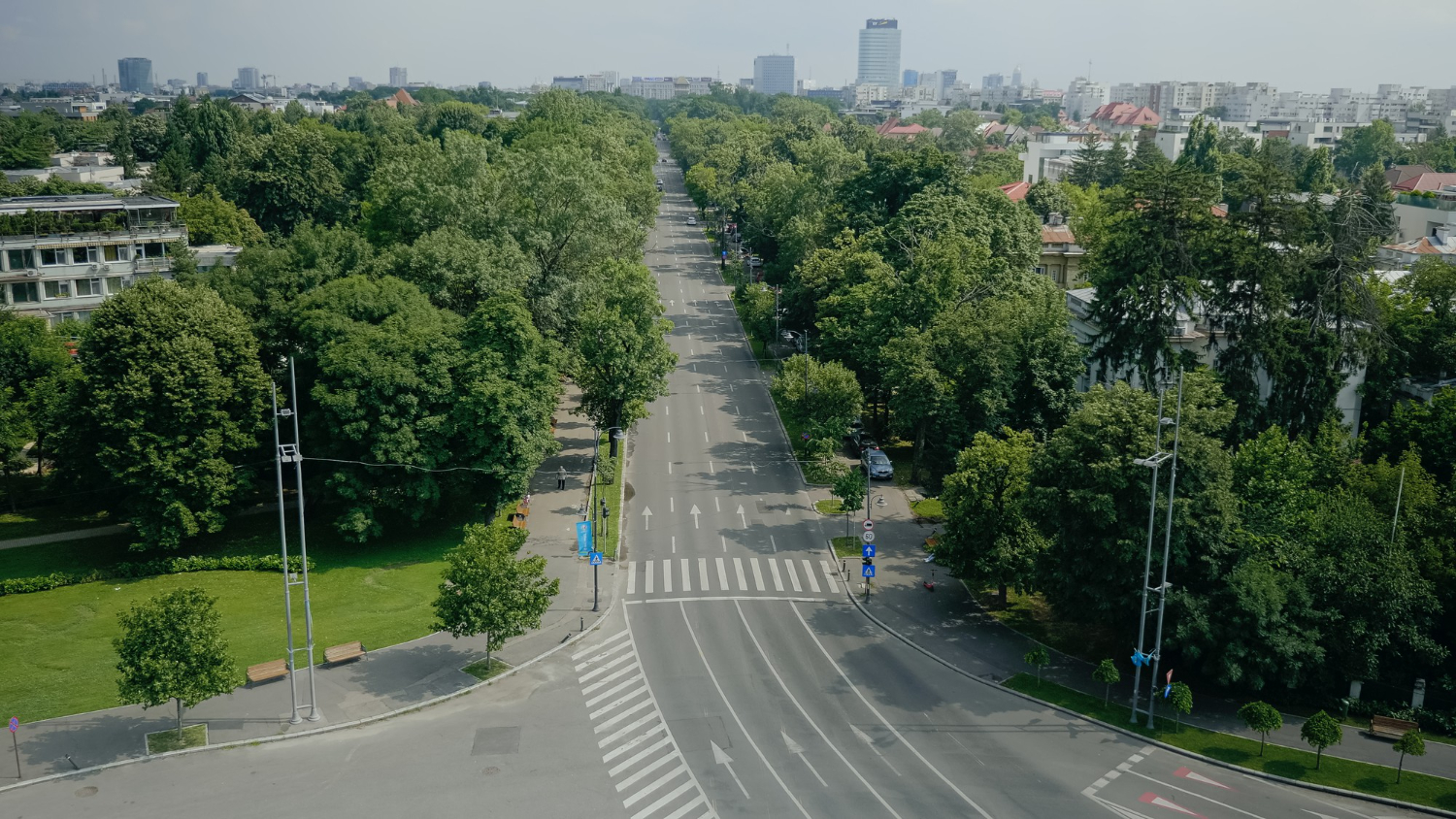 Pojawił się nowy zielony przystanek w Gorzowie. Jednak okazuje się, że niewiele w nim zieleni