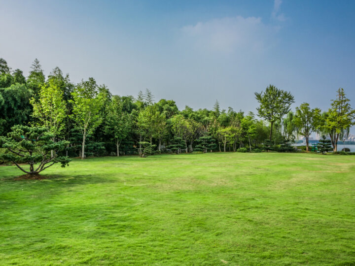 Powstanie największy park handlowy w całym regionie