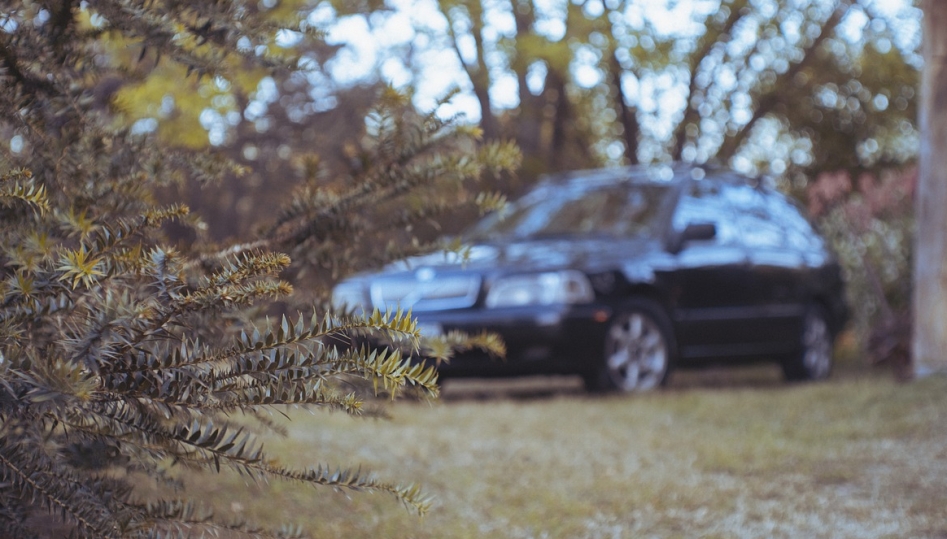 Pijany ojciec prowadził auto z dwójką dzieci na pokładzie: potrącił słup i dachował