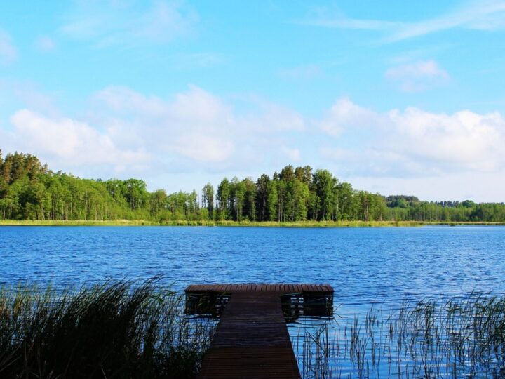 Perła Lubuskiego – Jezioro Cisie oazą czystości i spokoju