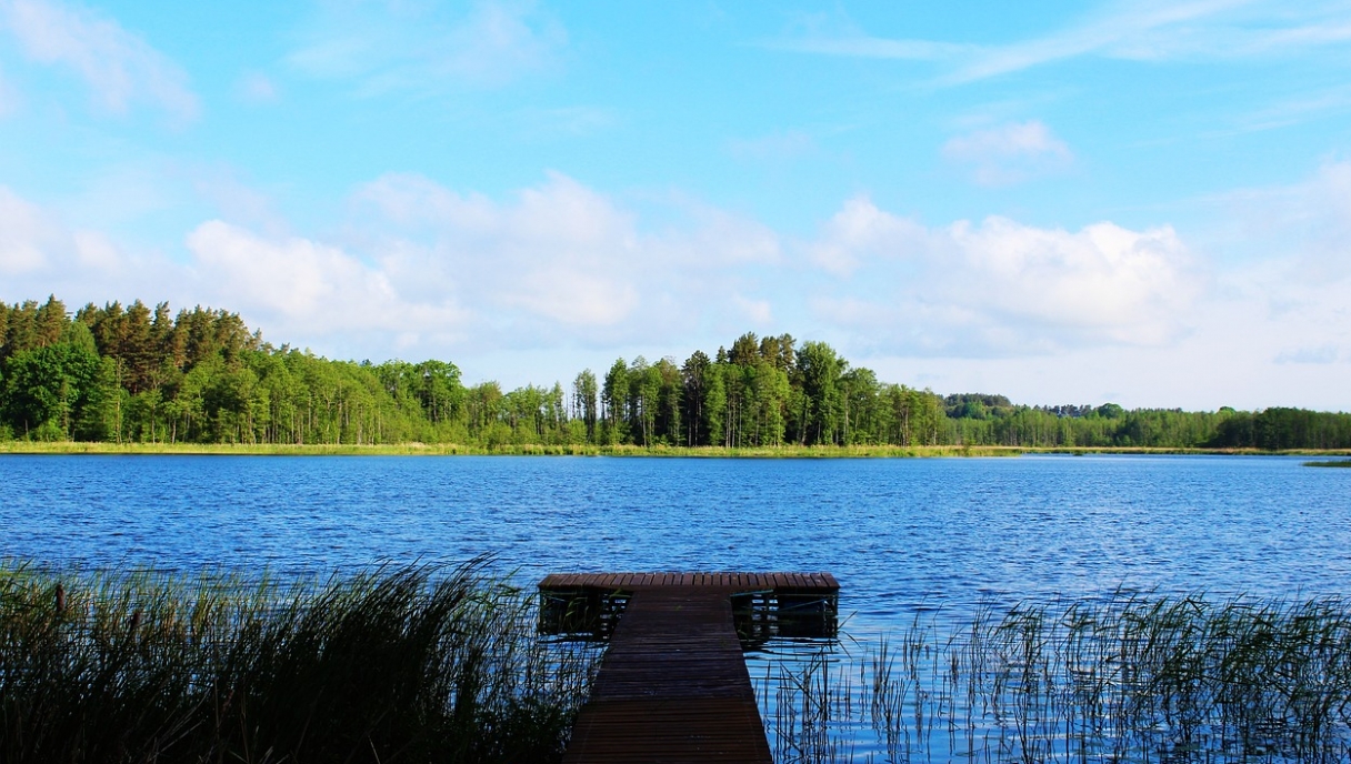 Perła Lubuskiego – Jezioro Cisie oazą czystości i spokoju