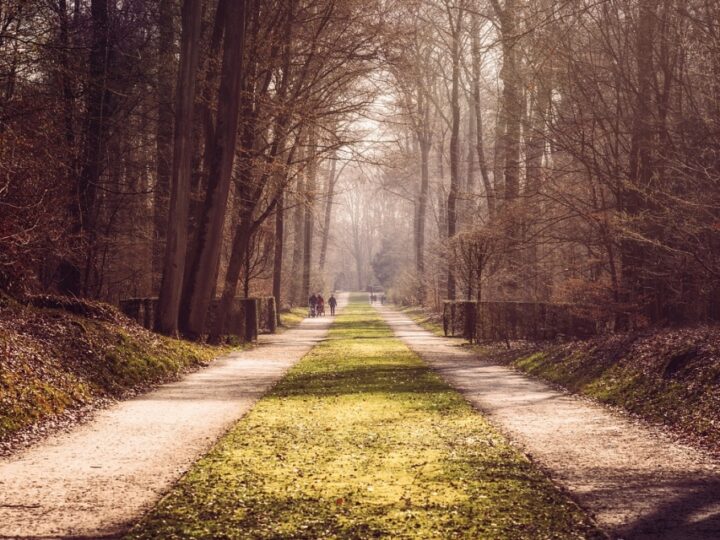 Zaproszenie na kolejny spacer po gorzowskich parkach ze Zbigniewem Rudzińskim