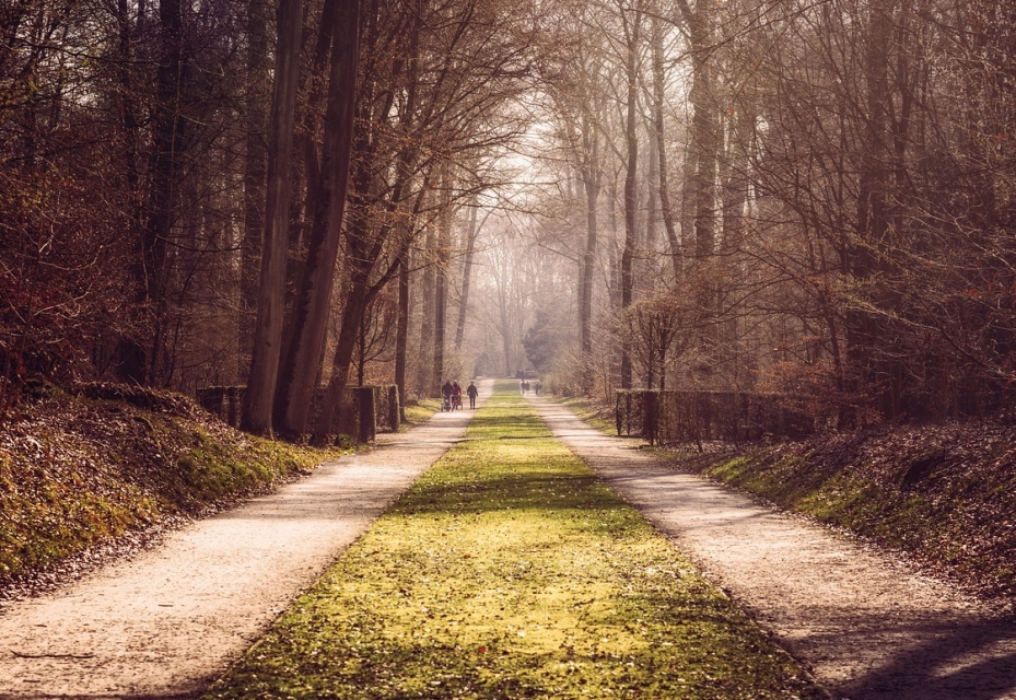 Zaproszenie na kolejny spacer po gorzowskich parkach ze Zbigniewem Rudzińskim