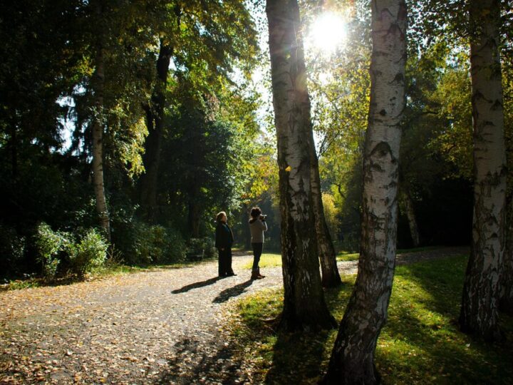 Gorzów Wlkp. inwestuje 140 tys. zł w nowy park leśny – przestrzeń dla rekreacji i edukacji!