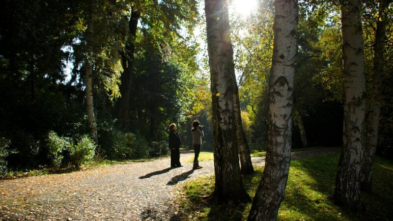Gorzów Wlkp. inwestuje 140 tys. zł w nowy park leśny – przestrzeń dla rekreacji i edukacji!
