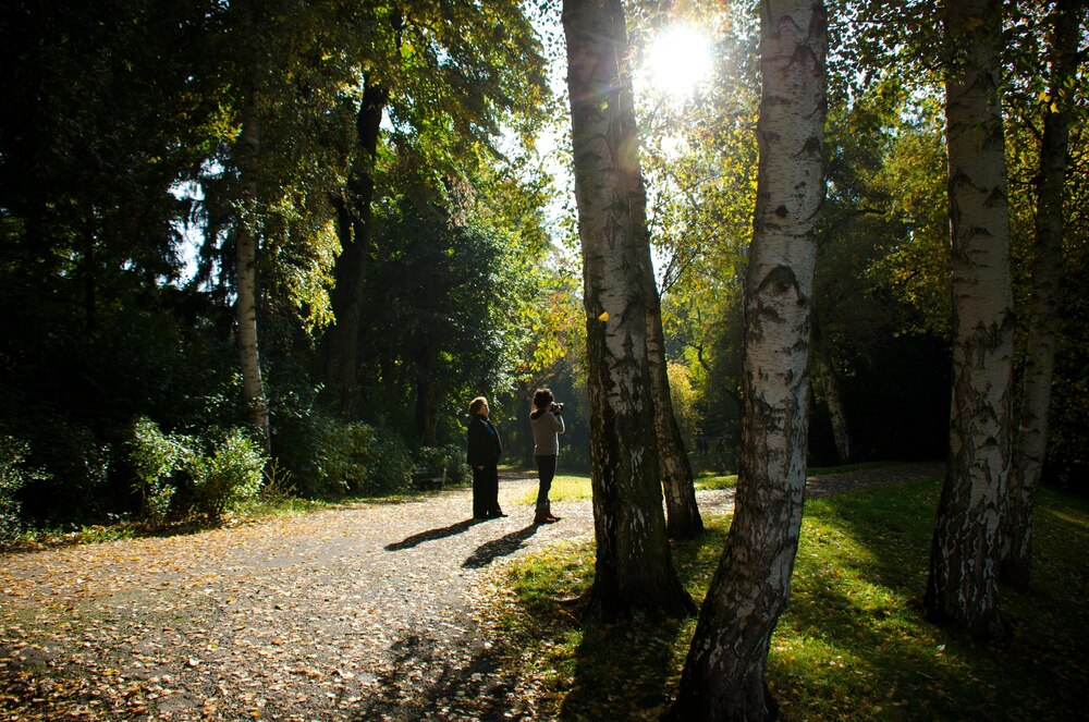 Gorzów Wlkp. inwestuje 140 tys. zł w nowy park leśny – przestrzeń dla rekreacji i edukacji!
