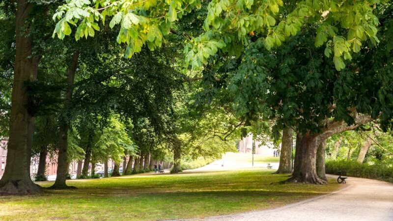 Gorzów Wlkp. zyska nowy leśny park rekreacyjny na terenie byłego poligonu