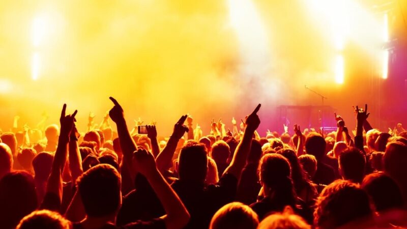 Romane Dyvesa: Festiwal Radości, Muzyki i Romskiej Magii