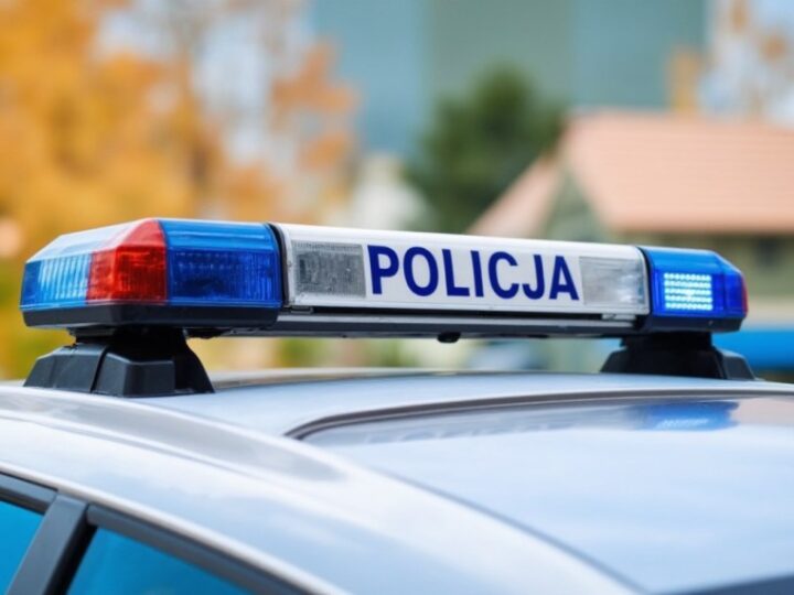Agresywni mężczyźni obezwładnieni przez strażników w Gorzowie