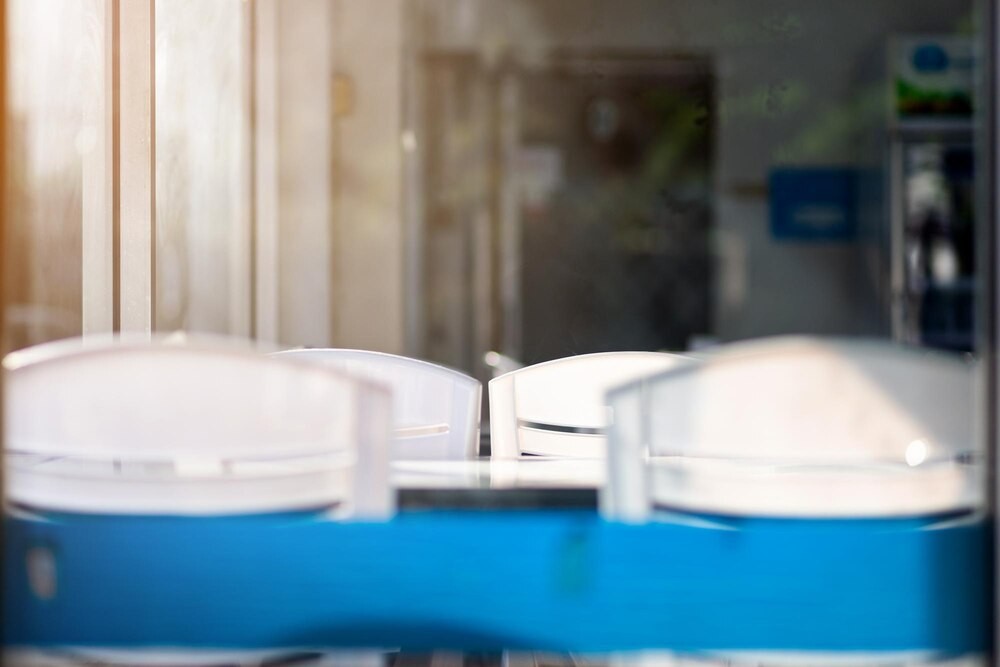 Kultura jako klucz do zdrowia psychicznego seniorów w jesieni życia