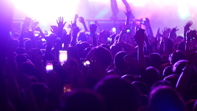 Gorzowski Splin IX: Szczegółowy program festiwalu na 13-15 listopada 2025