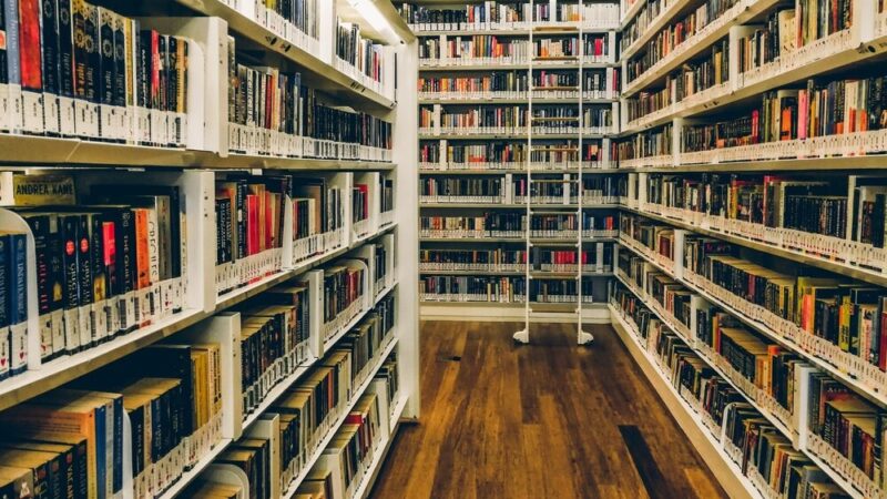 Literacka uczta z Aleksandrą Claire: spotkanie przy kawie w Bogdańcu