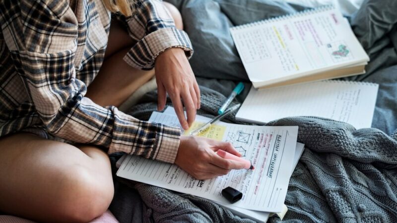 Rodzinne warsztaty świąteczne w SOWA Gorzów Wielkopolski!