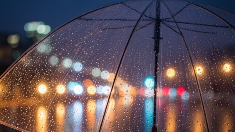 Ostrzeżenie o gęstej mgle: widoczność poniżej 200 m