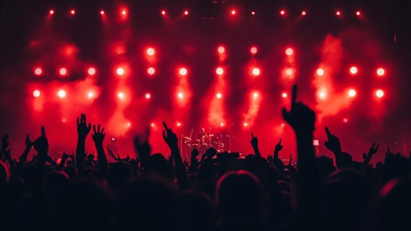 Adam Bałdych wystąpi w gorzowskiej katedrze – muzyczna uczta czeka!