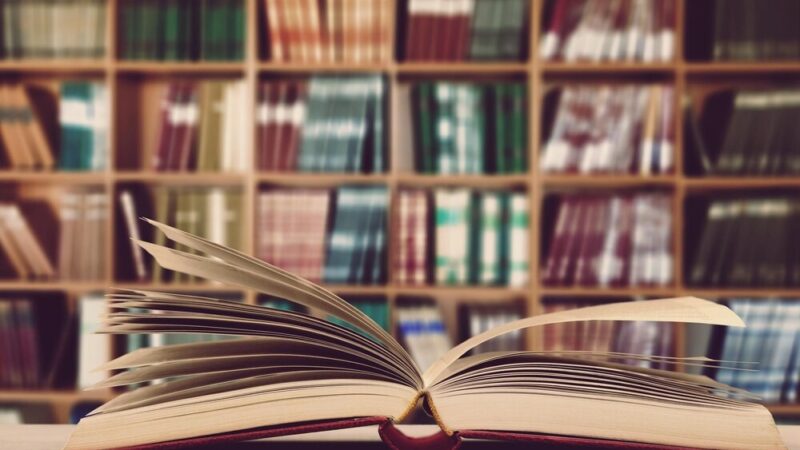 Czerpanie papieru dla każdego – dołącz do warsztatów w Bibliotece Herberta!