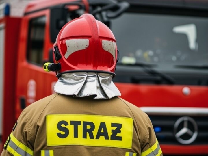 Kot uwięziony w kominie, strażacy ratują w Gorzowie Wielkopolskim