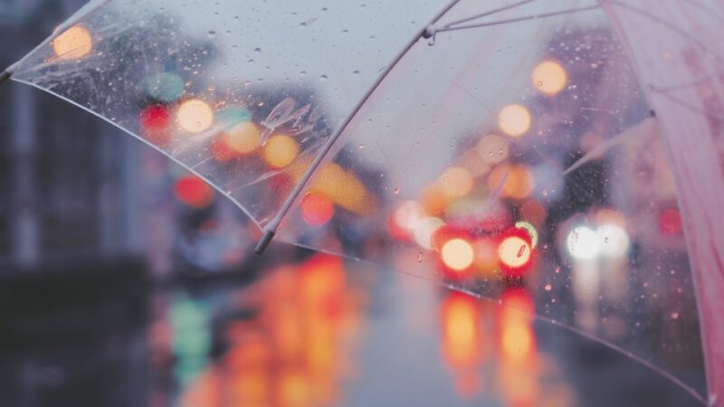 Ostrzeżenie o przymrozkach: Temperatura spadnie do -6°C