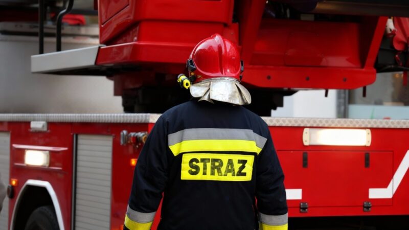 Młodzież z Gorzowa w akcji: Eliminacje OTWP zakończone sukcesem!