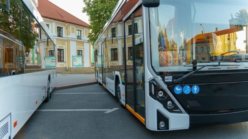 Ewolucja linii A: od pośpiesznej do całorocznej trasy autobusowej