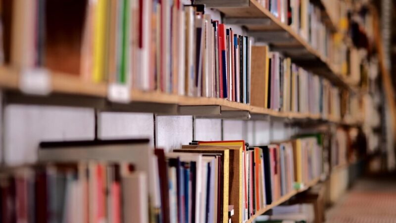 Majowe atrakcje w bibliotece: odkryj książki, filmy i wystawy!