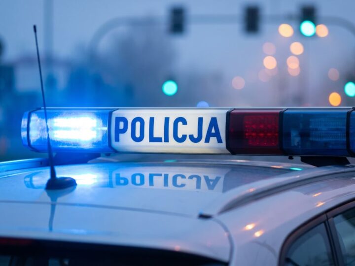 49-latek zatrzymany za nielegalną kradzież drewna w lesie