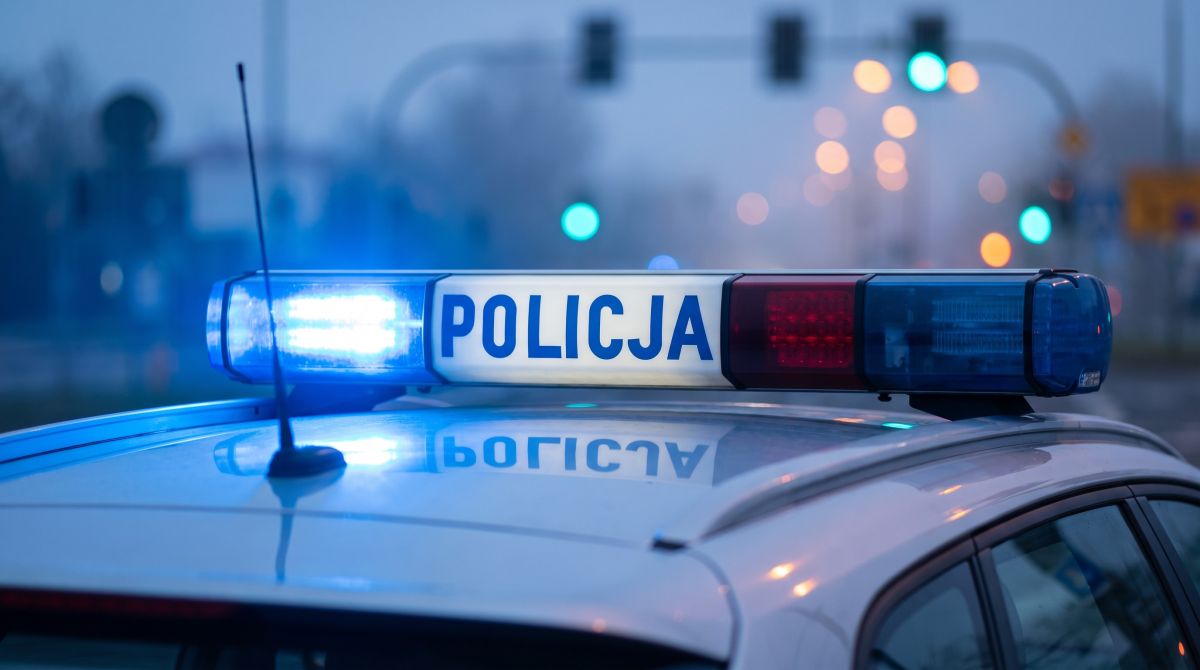 49-latek zatrzymany za nielegalną kradzież drewna w lesie