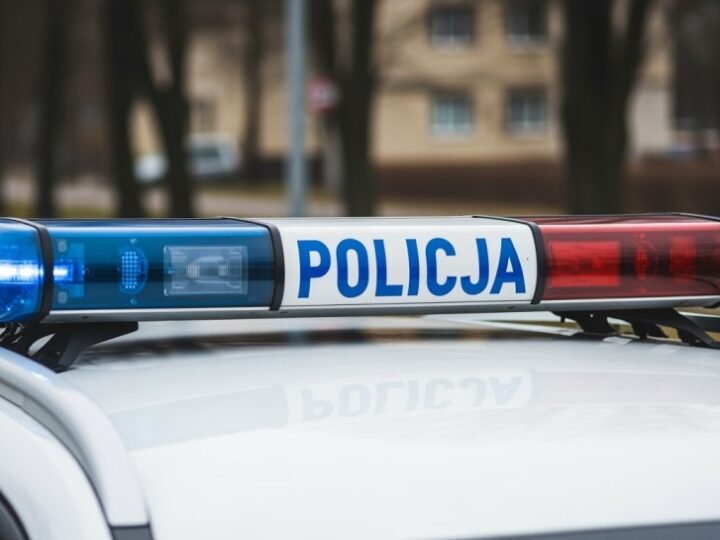 Lubuska przewodniczka psów służbowych w Szwecji: Szkolenie w ramach projektu TROPIK-9
