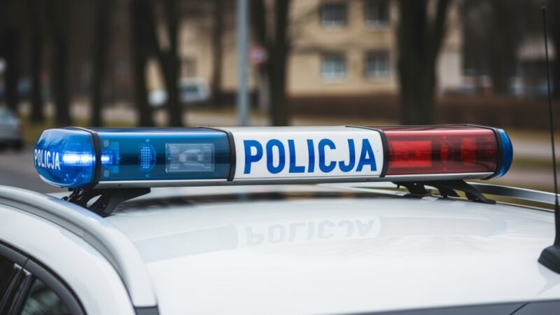 Lubuska przewodniczka psów służbowych w Szwecji: Szkolenie w ramach projektu TROPIK-9