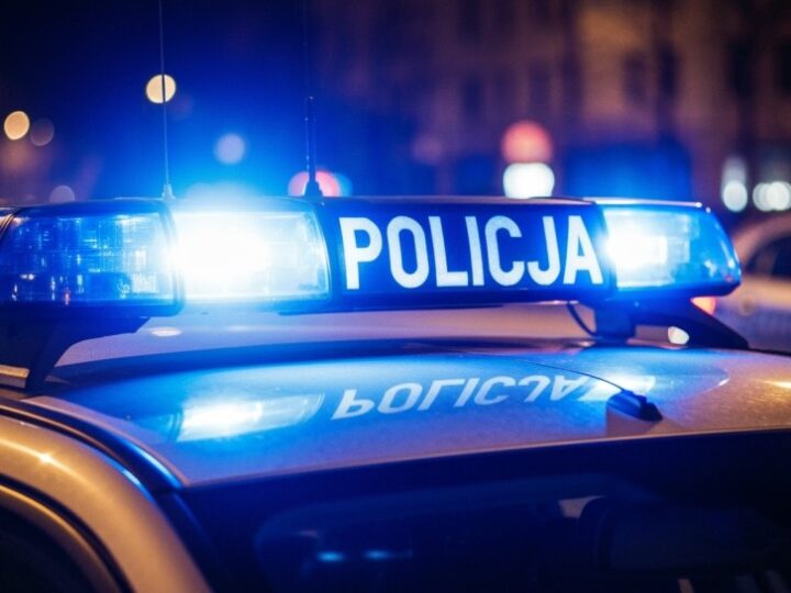 Sprzedawca samochodu wraca po auto – 36-latek zatrzymany za kradzież